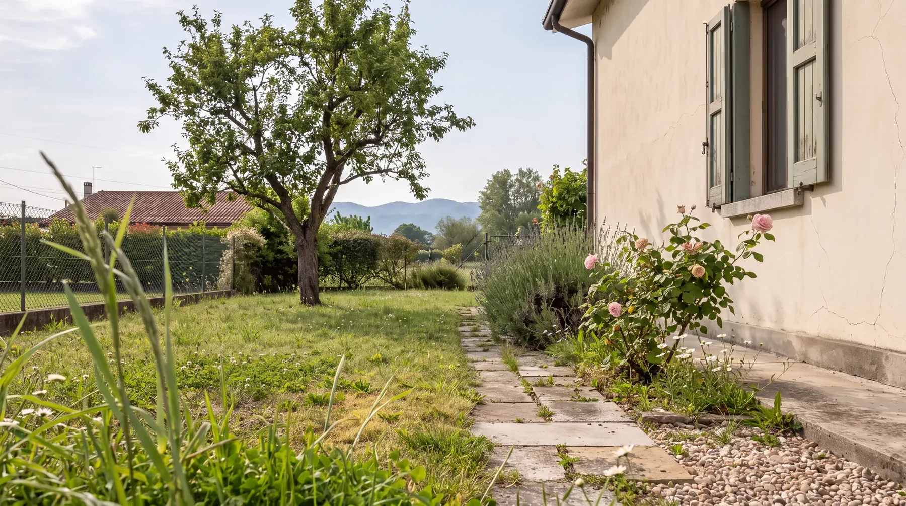 Giardino prima della sistemazione