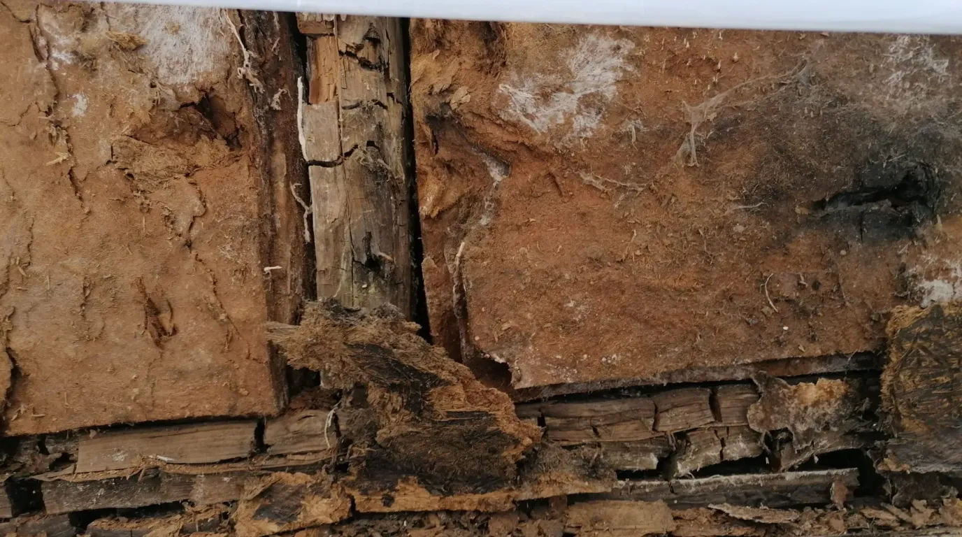Dettaglio di una trave in legno danneggiata da umidità e degrado, prima dell'intervento di risanamento